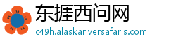 东捱西问网
